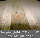 Skorpion_2014 (630)_1024x768.JPG