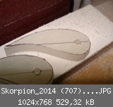 Skorpion_2014 (707)_1024x768.JPG