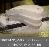 Skorpion_2014 (711)_1024x768.JPG