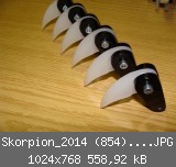Skorpion_2014 (854)_1024x768.JPG