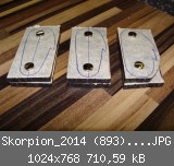Skorpion_2014 (893)_1024x768.JPG