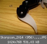 Skorpion_2014 (956)_1024x768.JPG