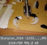 Skorpion_2014 (1033)_1024x768.JPG
