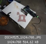 DSC00525_1024x768.JPG