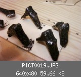 PICT0019.JPG