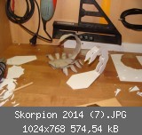 Skorpion 2014 (7).JPG