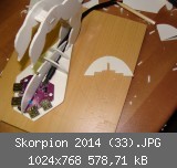 Skorpion 2014 (33).JPG