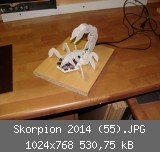 Skorpion 2014 (55).JPG