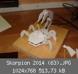 Skorpion 2014 (63).JPG