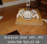 Skorpion 2014 (65).JPG