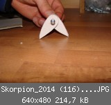 Skorpion_2014 (116)_640x480.JPG
