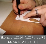 Skorpion_2014 (126)_640x480.JPG