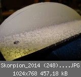 Skorpion_2014 (248)_1024x768.JPG