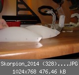 Skorpion_2014 (328)_1024x768.JPG