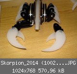 Skorpion_2014 (1002)_1024x768.JPG
