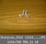Skorpion_2014 (1014)_1024x768.JPG