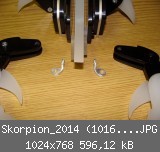 Skorpion_2014 (1016)_1024x768.JPG