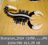 Skorpion_2014 (1059)_1024x768.JPG