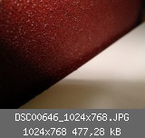 DSC00646_1024x768.JPG