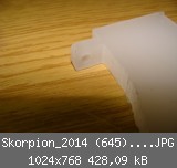 Skorpion_2014 (645)_1024x768.JPG