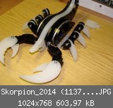 Skorpion_2014 (1137)_1024x768.JPG