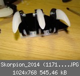 Skorpion_2014 (1171)_1024x768.JPG