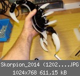 Skorpion_2014 (1202)_1024x768.JPG