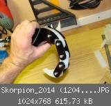 Skorpion_2014 (1204)_1024x768.JPG