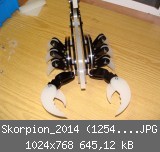 Skorpion_2014 (1254)_1024x768.JPG