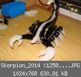 Skorpion_2014 (1258)_1024x768.JPG
