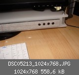 DSC05213_1024x768.JPG