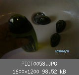 PICT0058.JPG