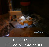 PICT0081.JPG