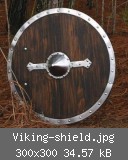 Viking-shield.jpg