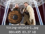 Viking-shield-1.jpg