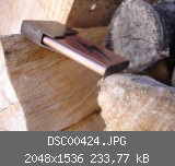 DSC00424.JPG