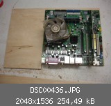 DSC00436.JPG