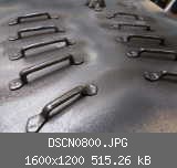 DSCN0800.JPG