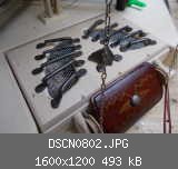 DSCN0802.JPG
