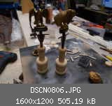DSCN0806.JPG