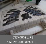 DSCN0809.JPG
