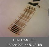 PICT1300.JPG